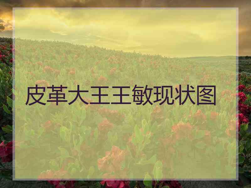 皮革大王王敏现状图