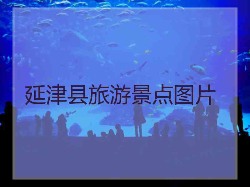 延津县旅游景点图片