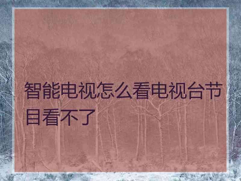 智能电视怎么看电视台节目看不了