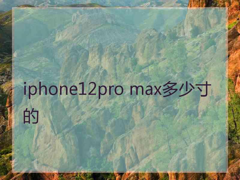iphone12pro max多少寸的