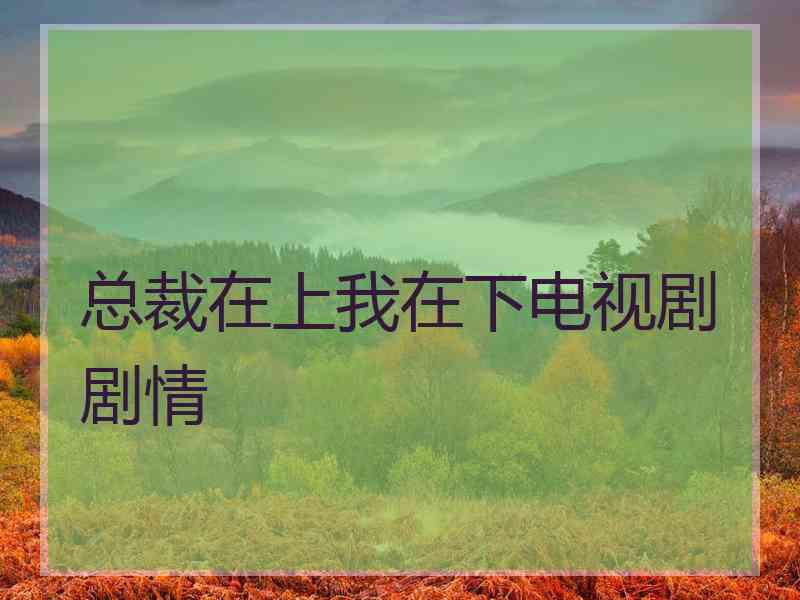 总裁在上我在下电视剧剧情