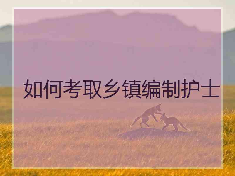 如何考取乡镇编制护士