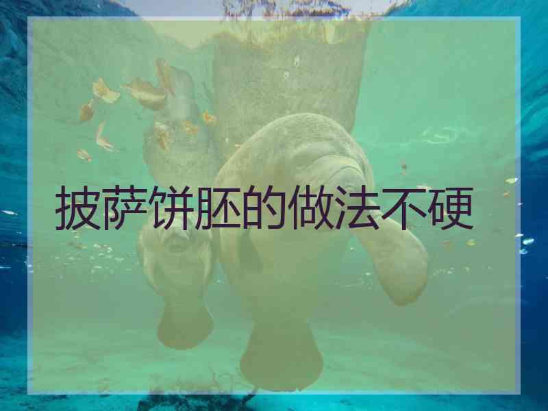 披萨饼胚的做法不硬 披萨饼胚的做法不硬