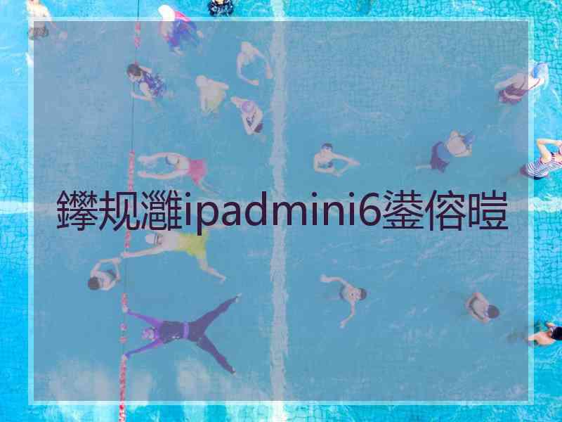 鑻规灉ipadmini6鍙傛暟