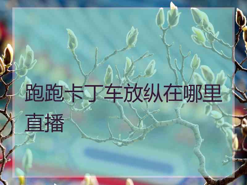 跑跑卡丁车放纵在哪里直播