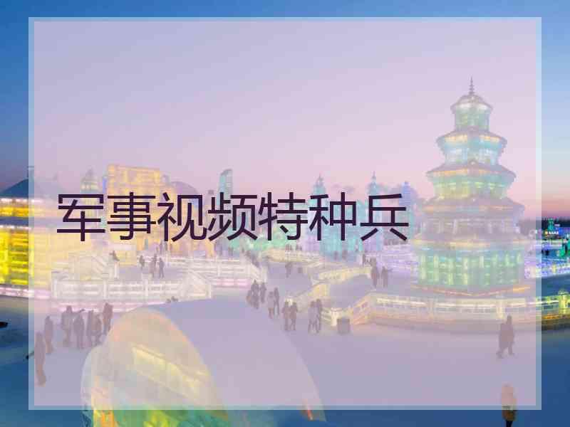 军事视频特种兵