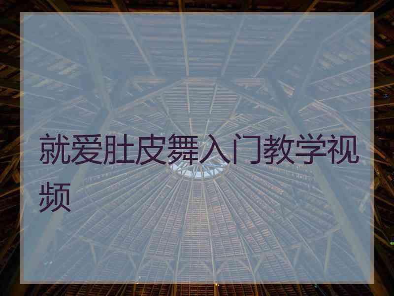 就爱肚皮舞入门教学视频