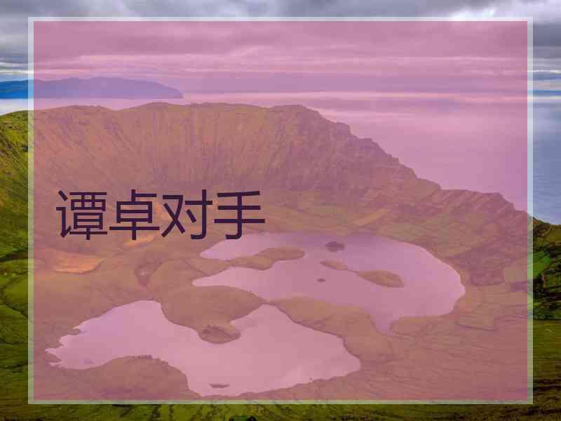 谭卓对手