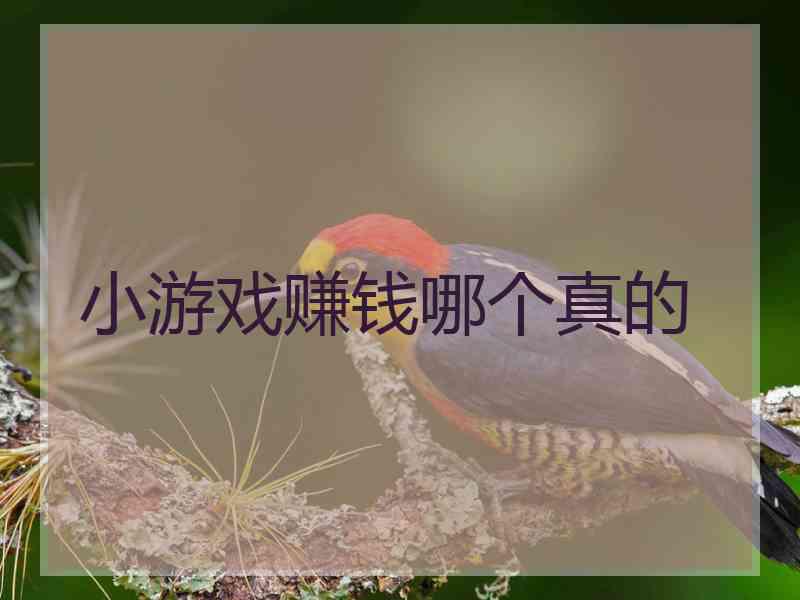 小游戏赚钱哪个真的