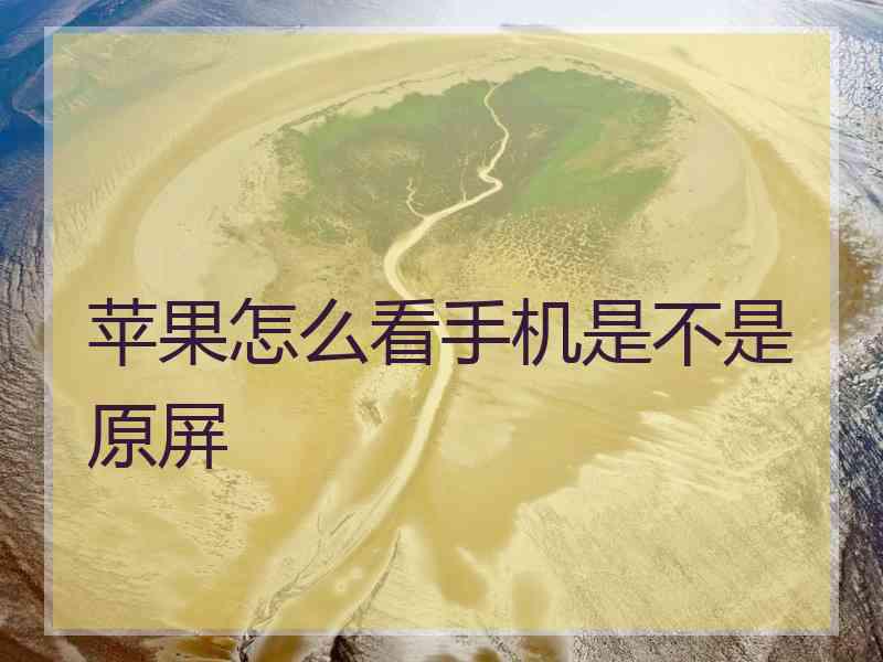 苹果怎么看手机是不是原屏