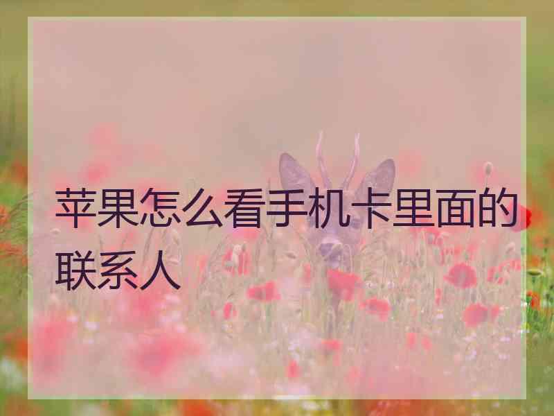 苹果怎么看手机卡里面的联系人