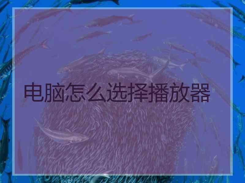 电脑怎么选择播放器
