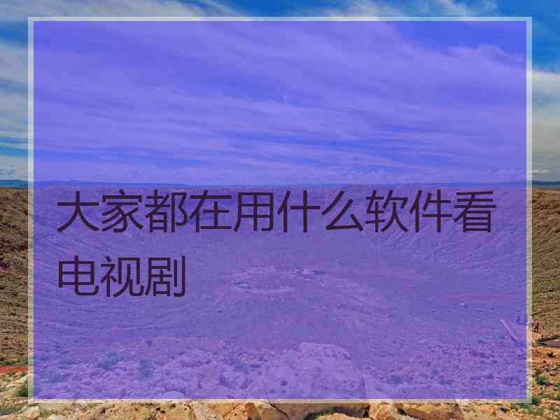 大家都在用什么软件看电视剧
