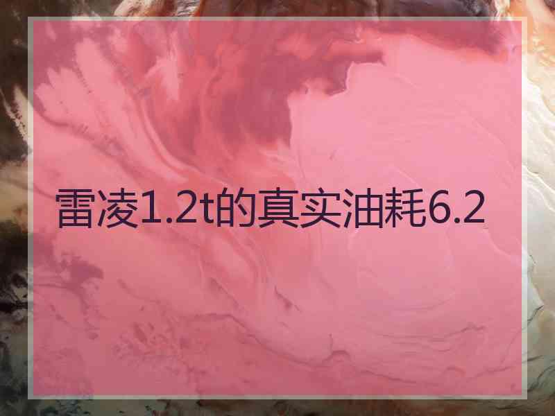 雷凌1.2t的真实油耗6.2