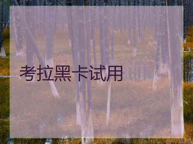 考拉黑卡试用