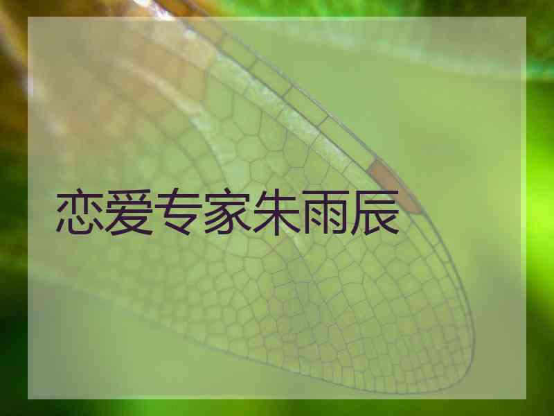 恋爱专家朱雨辰