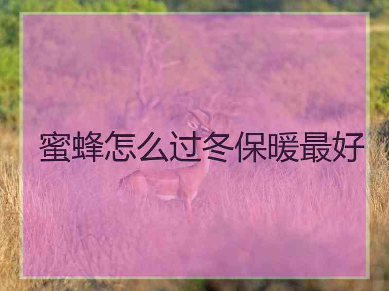 蜜蜂怎么过冬保暖最好
