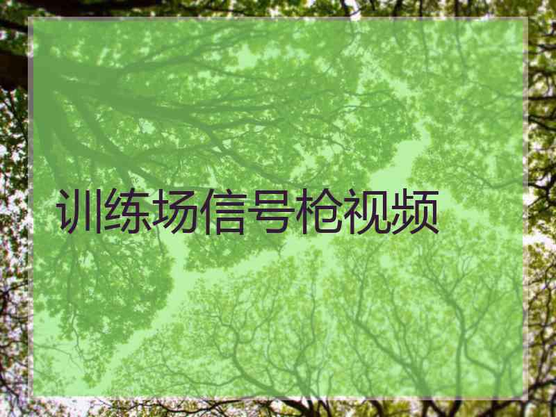 训练场信号枪视频