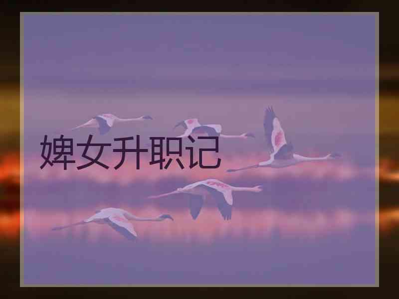 婢女升职记 婢女升职记