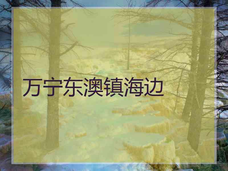 万宁东澳镇海边