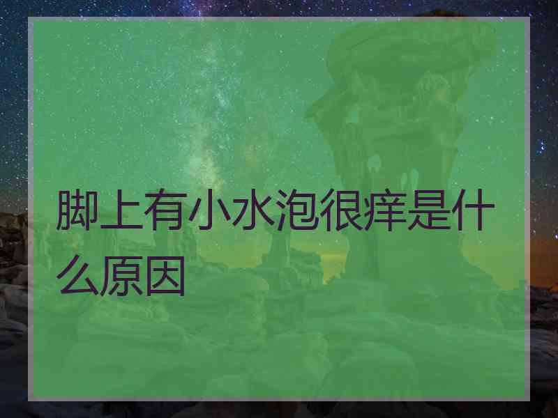 脚上有小水泡很痒是什么原因