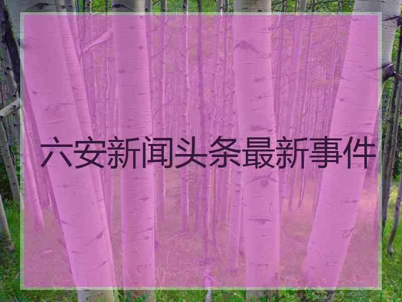 六安新闻头条最新事件