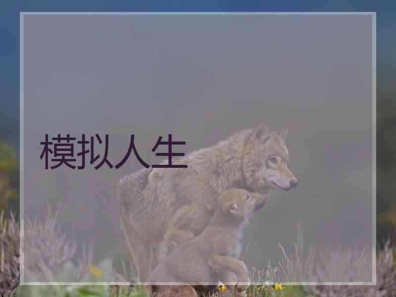 模拟人生 模拟人生