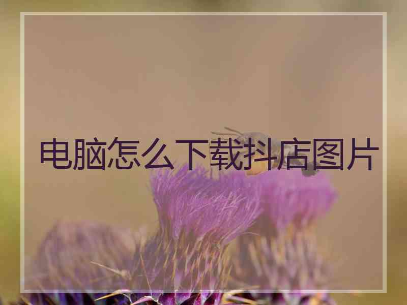 电脑怎么下载抖店图片