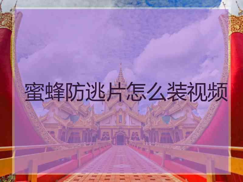 蜜蜂防逃片怎么装视频