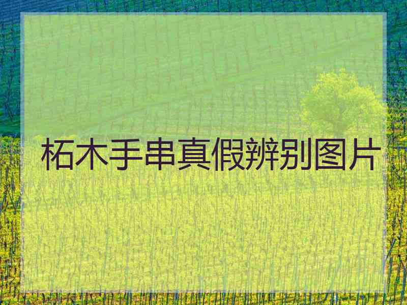 柘木手串真假辨别图片