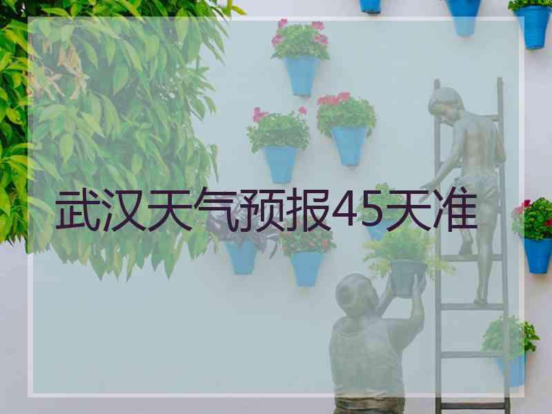 武汉天气预报45天准