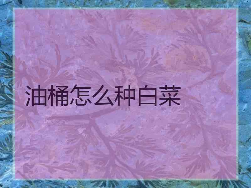油桶怎么种白菜