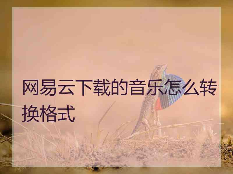 网易云下载的音乐怎么转换格式