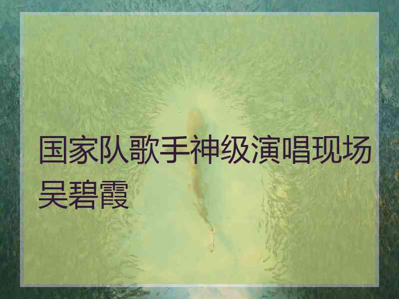 国家队歌手神级演唱现场吴碧霞