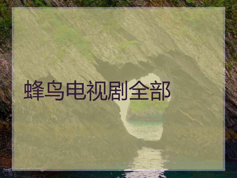 蜂鸟电视剧全部