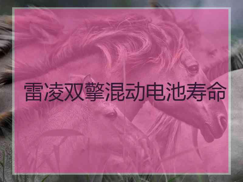 雷凌双擎混动电池寿命 雷凌双擎混动电池寿命