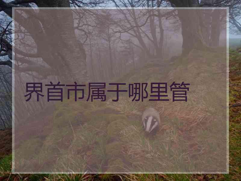 界首市属于哪里管