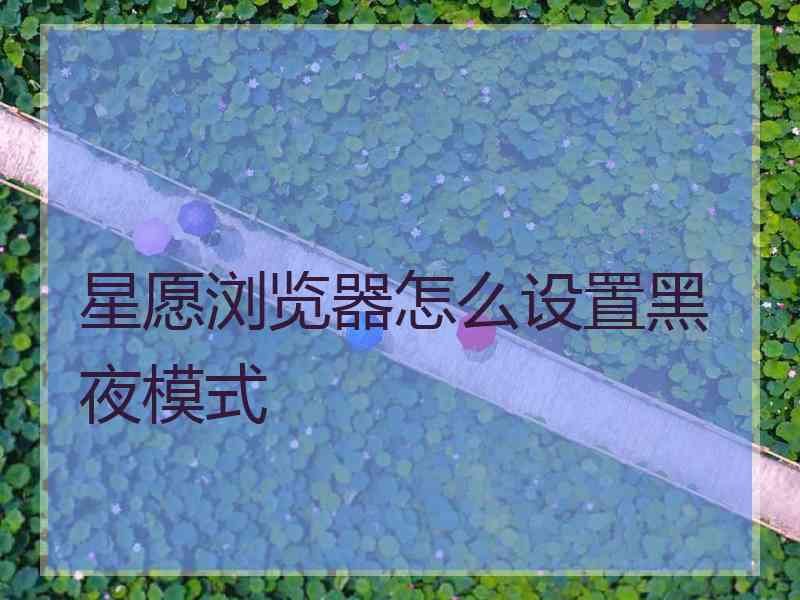 星愿浏览器怎么设置黑夜模式