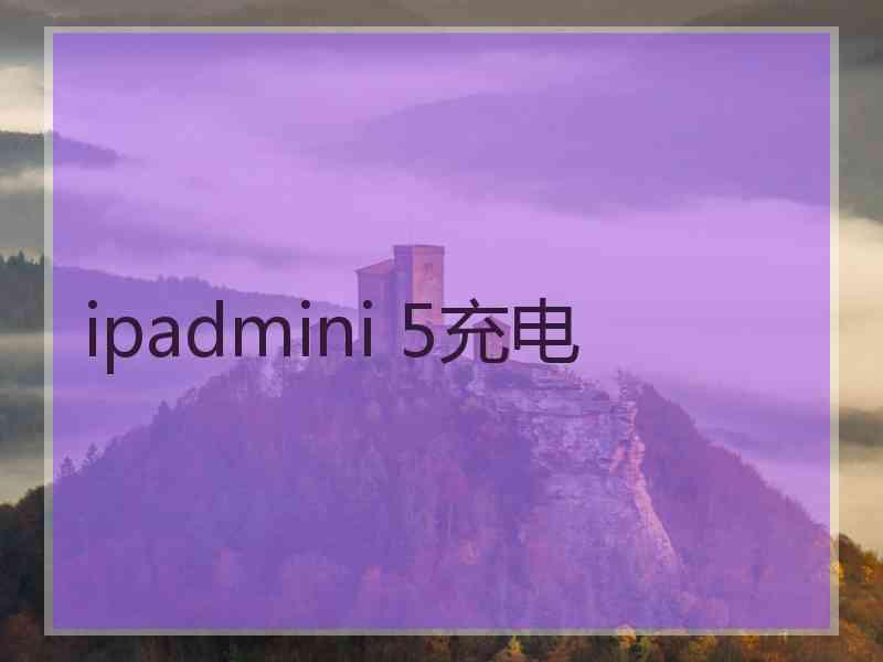 ipadmini 5充电