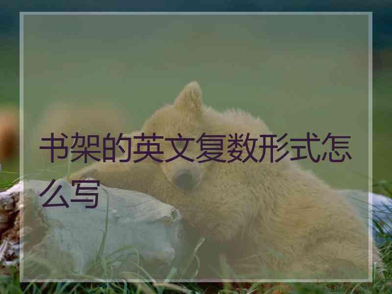 书架的英文复数形式怎么写