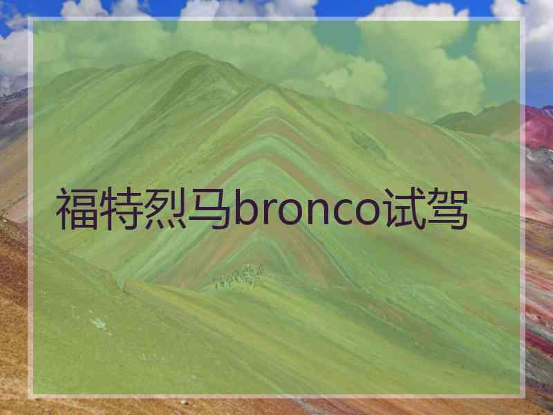 福特烈马bronco试驾