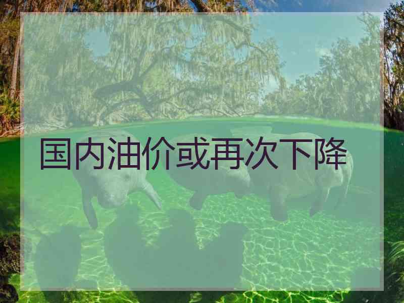 国内油价或再次下降
