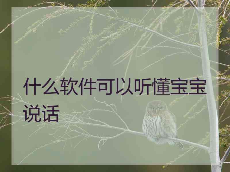 什么软件可以听懂宝宝说话