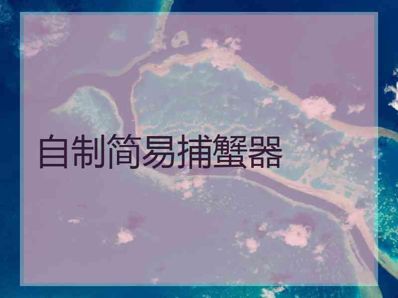 自制简易捕蟹器 自制简易捕蟹器