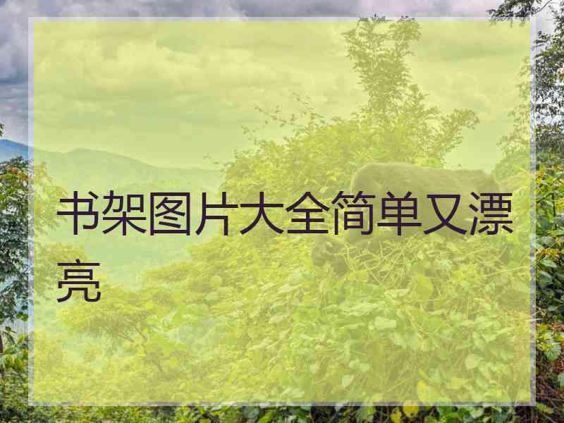 书架图片大全简单又漂亮