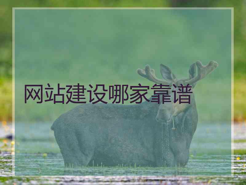 网站建设哪家靠谱 网站建设哪家靠谱