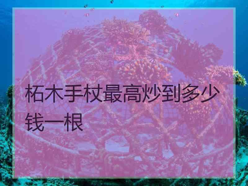 柘木手杖最高炒到多少钱一根