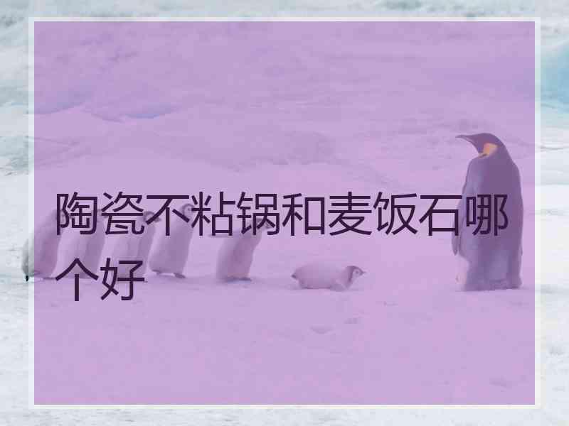 陶瓷不粘锅和麦饭石哪个好