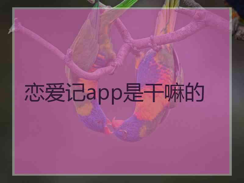 恋爱记app是干嘛的