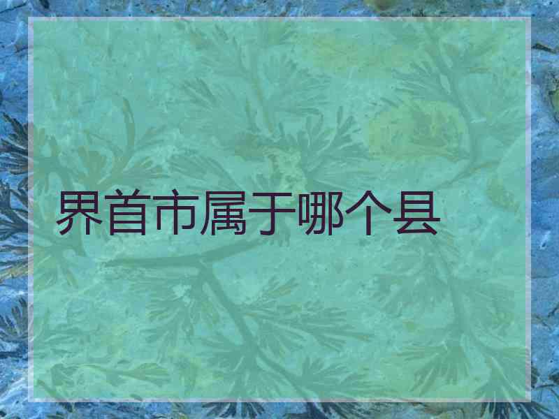 界首市属于哪个县